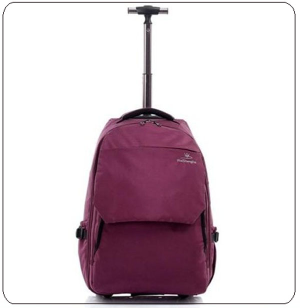  FY-BACKPACK--0081  rolling backpack